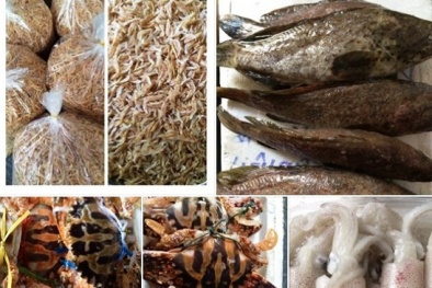 Hải sản trên 'phây”: Coi chừng hàng đông lạnh!